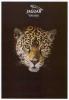 jaguar020_199308_01